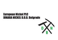 Dinara Nickel - Logo
