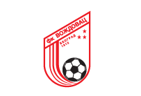 FK Voždovac - Logo