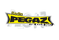 Pegaz radio - Logo