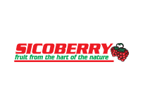 Sicoberry - Logo