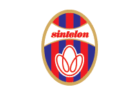 Sintelon rukometni klub - Logo