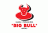 Big Bull