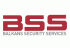 BSS