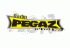 Pegaz radio