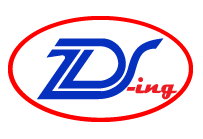 Zds-ing - Logo